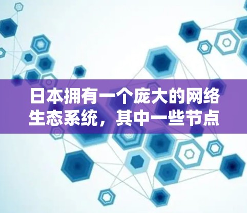 日本拥有一个庞大的网络生态系统,其中一些节点在高速网络方面表现突出。以下是一些日本高速VPN节点的详细信息