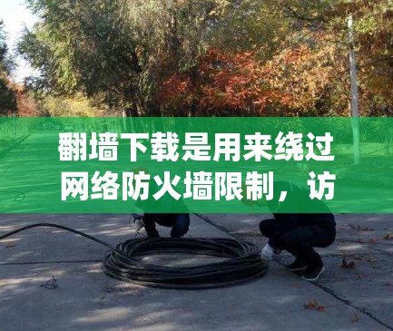 翻墙下载是用来绕过网络防火墙限制,访问外部网站或资源的一种方式。以下是对该方法的详细分析和建议