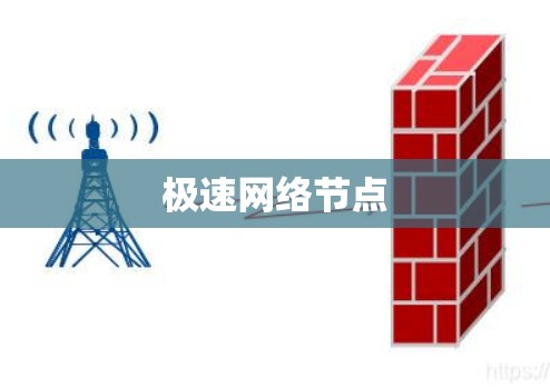 极速网络节点