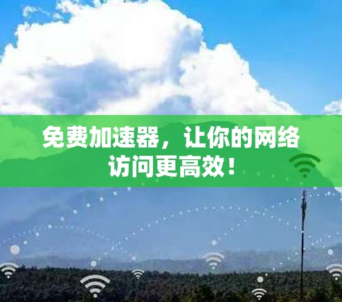 免费加速器,让你的网络访问更高效!