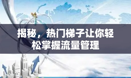 揭秘,热门梯子让你轻松掌握流量管理