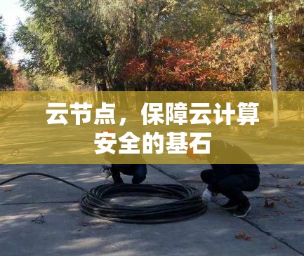 云节点,保障云计算安全的基石