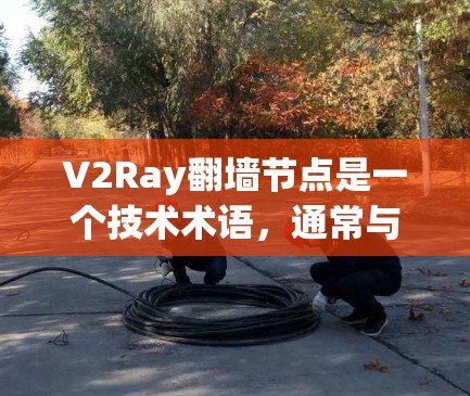 V2Ray翻墙节点是一个技术术语,通常与网络协议和网络安全相关。具体含义可能因上下文而异,但以下是一些可能的解释和应用