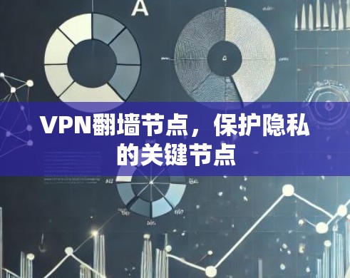 VPN翻墙节点,保护隐私的关键节点