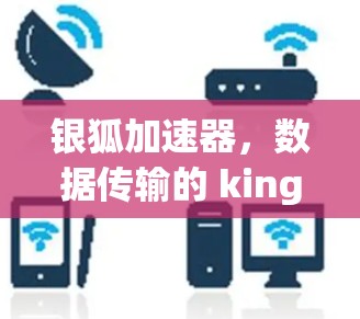 银狐加速器,数据传输的 kings 帮 hand