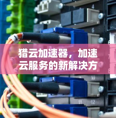 猎云加速器,加速云服务的新解决方案