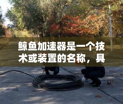 鲸鱼加速器是一个技术或装置的名称，具体含义取决于上下文。以下是一些可能的解释