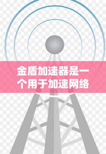 金盾加速器是一个用于加速网络连接的工具,通常用于提高数据传输速度。以下是关于该加速器的详细信息