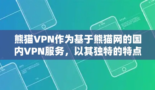 熊猫VPN作为基于熊猫网的国内VPN服务，以其独特的特点和功能吸引用户。以下是对熊猫VPN的总结和分析