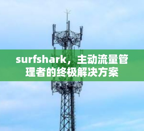 surfshark,主动流量管理者的终极解决方案