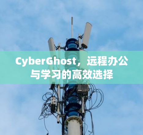CyberGhost,远程办公与学习的高效选择