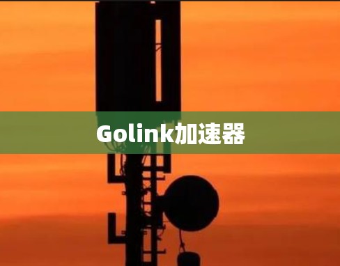 Golink加速器