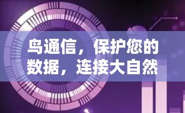 鸟通信,保护您的数据,连接大自然