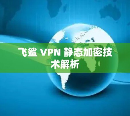 飞鲨 VPN 静态加密技术解析