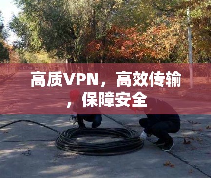 高质VPN,高效传输,保障安全