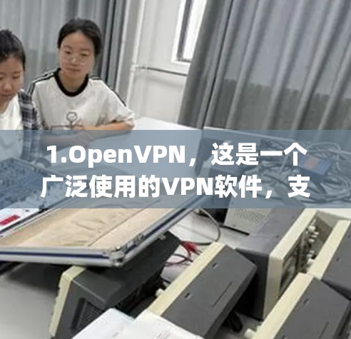 1.OpenVPN，这是一个广泛使用的VPN软件，支持多种操作系统，包括Linux。它提供多种配置选项，适合需要高安全性的用户