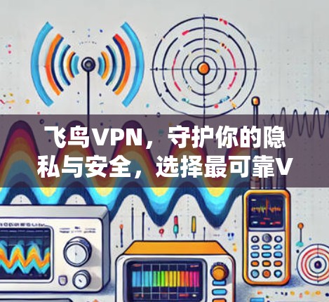 飞鸟VPN,守护你的隐私与安全,选择最可靠VPN平台