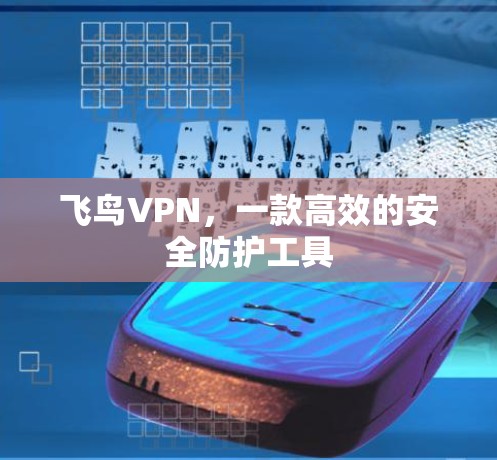 飞鸟VPN,一款高效的安全防护工具