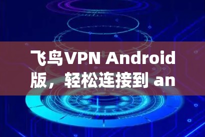 飞鸟VPN Android版,轻松连接到 anywhere的VPN 飞鸟VPN Android版,轻松连接到 anywhere的VPN