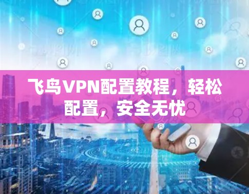 飞鸟VPN配置教程,轻松配置,安全无忧