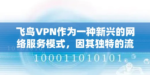 飞鸟VPN作为一种新兴的网络服务模式，因其独特的流量管理机制和更多的功能而受到关注。然而，它在购买准确性、支付验证和物流配送等方面存在不足，用户反馈较为负面。以下是对飞鸟VPN的详细分析