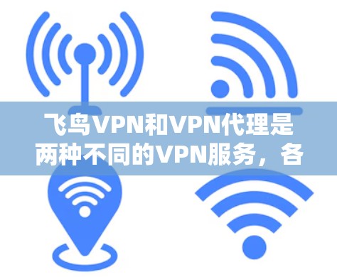 飞鸟VPN和VPN代理是两种不同的VPN服务,各有其优缺点。以下是对它们的详细比较