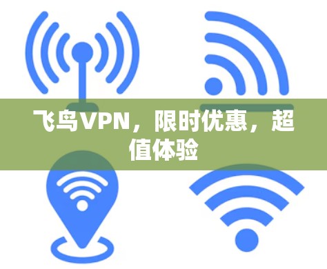 飞鸟VPN,限时优惠,超值体验