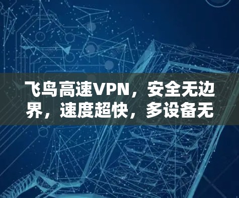 飞鸟高速VPN，安全无边界，速度超快，多设备无缝对接