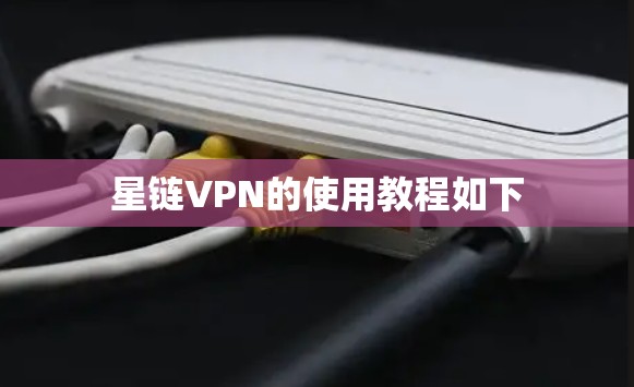 星链VPN的使用教程如下