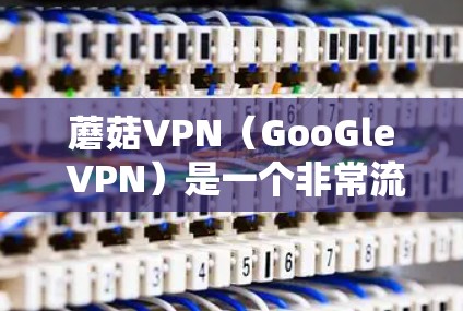 蘑菇VPN(GooGle VPN)是一个非常流行的加密VPN服务,提供了一个安全、高效、且功能丰富的网络连接体验。以下是关于蘑菇VPN的详细介绍