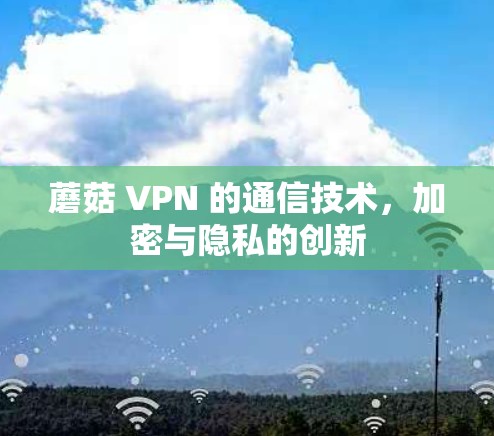 蘑菇 VPN 的通信技术,加密与隐私的创新