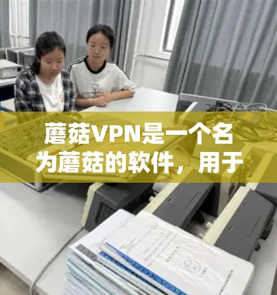 蘑菇VPN是一个名为蘑菇的软件,用于VPN功能的下载和安装。如果你正在寻找蘑菇VPN的APK文件,以下是一些建议
