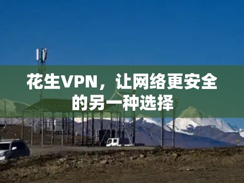 花生VPN，让网络更安全的另一种选择