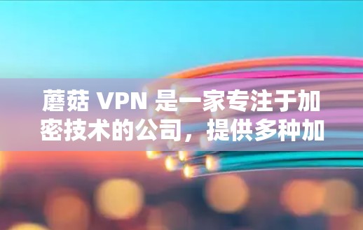 蘑菇 VPN 是一家专注于加密技术的公司，提供多种加密服务，包括VPN、云存储和加密通信。蘑菇 VPN 的加密技术基于Whichstack，是一种高度安全的加密技术，能够保护用户的数据和隐私