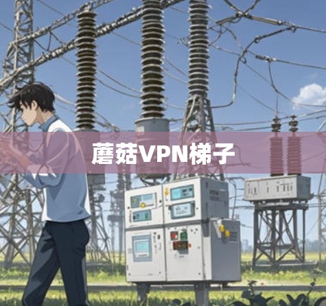蘑菇VPN梯子