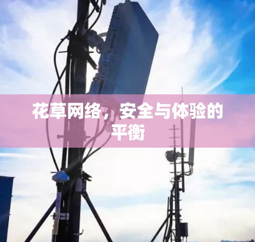 花草网络,安全与体验的平衡