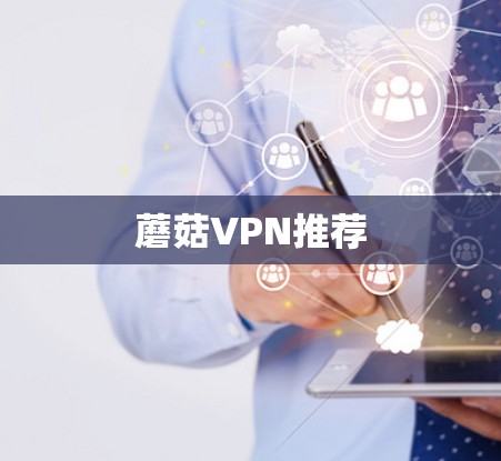 蘑菇VPN推荐