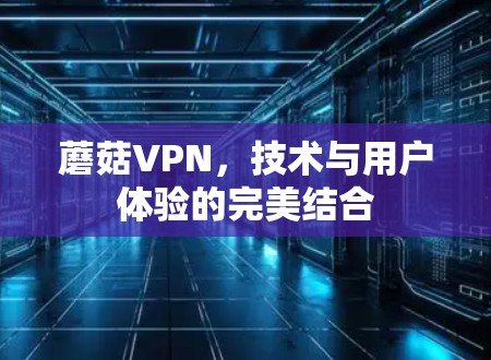 蘑菇VPN,技术与用户体验的完美结合