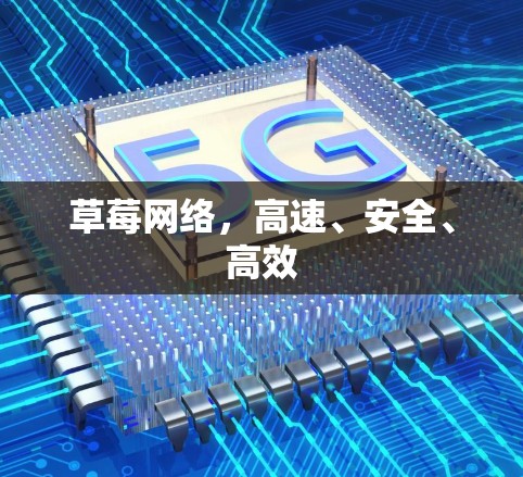 草莓网络,高速、安全、高效