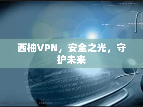 西柚VPN,安全之光,守护未来