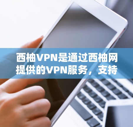西柚VPN是通过西柚网提供的VPN服务，支持在手机和电脑上使用。以下是一些步骤，帮助您访问西柚VPN