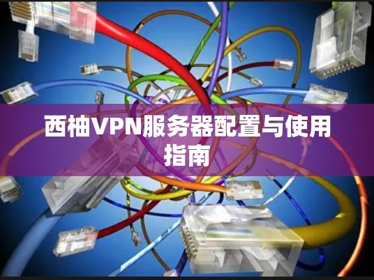 西柚VPN服务器配置与使用指南