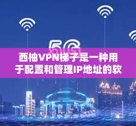 西柚VPN梯子是一种用于配置和管理IP地址的软件,通常用于为VPN服务提供IP地址设置和管理功能。以下是一个详细的指南,帮助您高效使用西柚VPN梯子