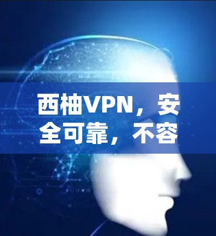 西柚VPN,安全可靠,不容错过