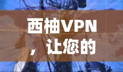 西柚VPN,让您的网络更安全,更便捷