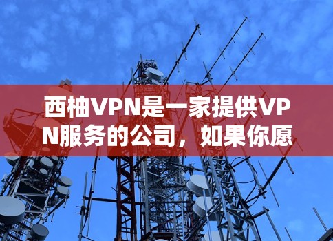 西柚VPN是一家提供VPN服务的公司,如果你愿意尝试,可以考虑以下几点