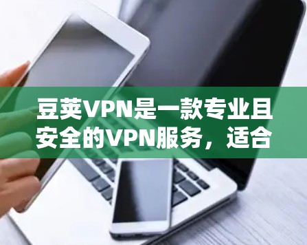 豆荚VPN是一款专业且安全的VPN服务,适合需要高安全性和复杂配置的用户。以下是对豆荚VPN的详细介绍