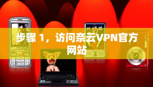 步骤 1，访问奈云VPN官方网站
