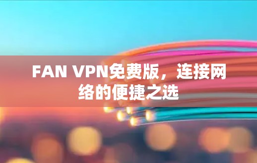 FAN VPN免费版,连接网络的便捷之选