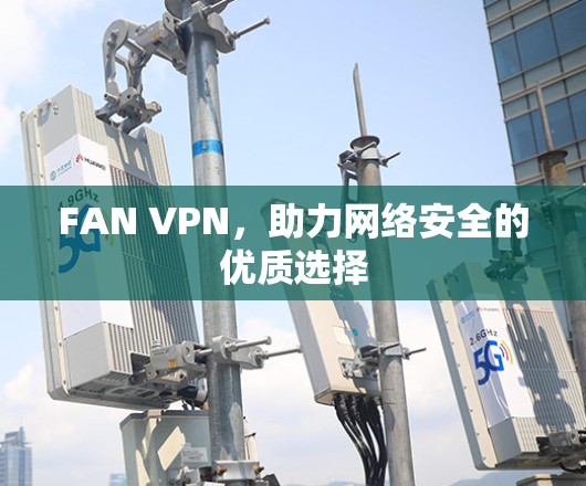 FAN VPN,助力网络安全的优质选择